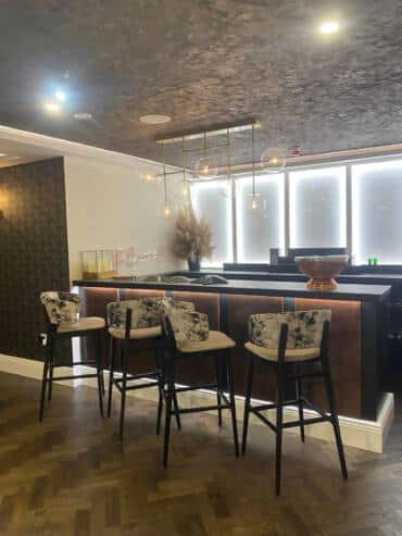 Ceiling painting and murals